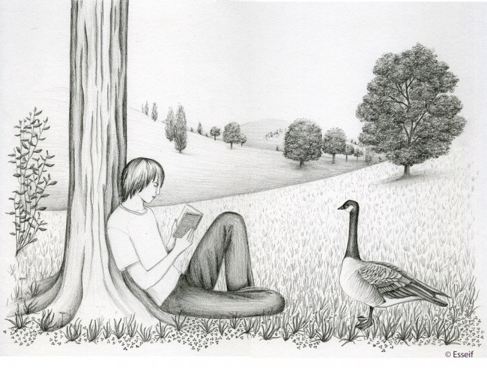 "Scene with duck and book"